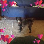 Janet Peoples - @peoples515 - Instagram