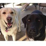 Janet Casini-Pepe - @casi.pep - Instagram