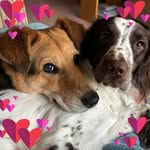 Janet Peppin - @peppijsp99 - Instagram
