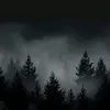Janet Perea - @janet.perea5 - TikTok
