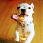 Janet Perkins - @janetperkins72 - Instagram