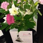 Janet Perrin - @janprrn - Instagram