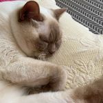 Jane Perrone - @janep_72 - Instagram