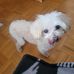 Janet Perron - Facebook