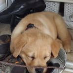 Janet Maurais-Perrott - Facebook