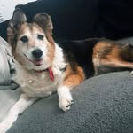 Janet Perry - @janetperry486 - Instagram