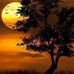 Janet Perry - Facebook