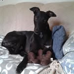 Jane Perryman - @jane.perryman.3 - Instagram