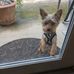 Janet Perryman - Facebook