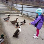 Janey Perryman - @isvoren - Instagram