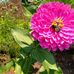 Janet Persson - Facebook
