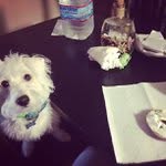 Jane Petrella - @labsgrabswow - Instagram