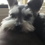 Peyton - @peyton_janetskibiggs - Instagram