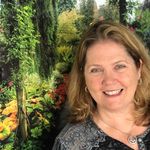 Janet Sorensen Pfeifer - @pfeifgirl73 - Instagram