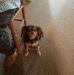 Janet Pfeiffer - Facebook