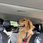 Janet Pfeiffer Buechner - @sjbuechner - Instagram
