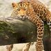 Janet Phair - Facebook