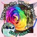 Janet Phelan - Facebook
