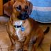 Janet Phetterplace - Facebook