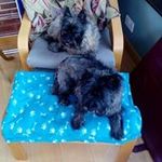 Janet Philpot - @janet.philpot - Instagram
