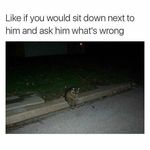 Janet Phippard - @janetphippard - Instagram