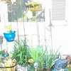 jgphippard1951@gmail.com - @janetphippard4 - TikTok