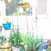 Phippard M Janet - Facebook