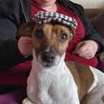 Janet Phipps Lloyd - @phippslette70 - Instagram
