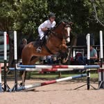 Janelle Pilgrim - @jdp.equestrian - Instagram
