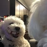 Janelle Pilgrim - @janelle_pilgrim - Instagram