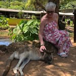 Jane Plunkett - @plunkett4154 - Instagram