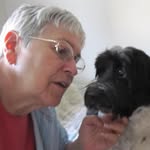Janet Poling Toth - @janetpolingtoth - Instagram