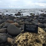 Janet Purfield Porteous - @purfieldporteous - Instagram