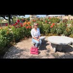 Jane Porterfield - @porterfield.jane - Instagram
