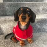 Janet - @jan.etpower - Instagram