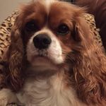 Janet Power - @janetpower2015 - Instagram