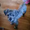 Janet Presley702 - @janetpresley - TikTok