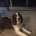 Janet Preuss - Facebook