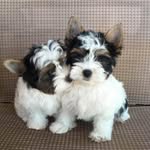 Janet Pridemore - @pridemorejanet - Instagram