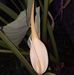 Janet Proctor - Facebook