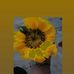Janet Puente - Facebook