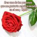 Janet Puente - Facebook