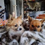 Janet Pullen - Facebook