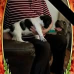 Janet Pulley Leedy - Facebook