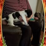 Janet Pulley Leedy - @janetpulleyleedy_ - Instagram