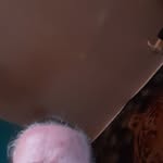 Janet Pulleyn - @janetpulleyn - Instagram