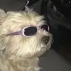 janet - @fruuittpunch - TikTok