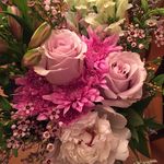 Jane Quinlan Montgomery - @janequinlanmontgomery - Instagram