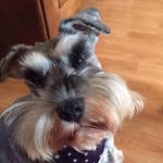 Janet Randles - @randlesjanet - Instagram