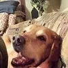 Janet Ransom327 - @gmj.gmj2 - TikTok